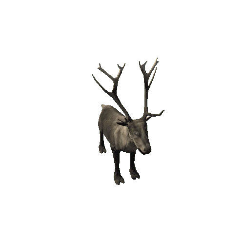 Reindeer_RM_FV_SLP (Fur3)